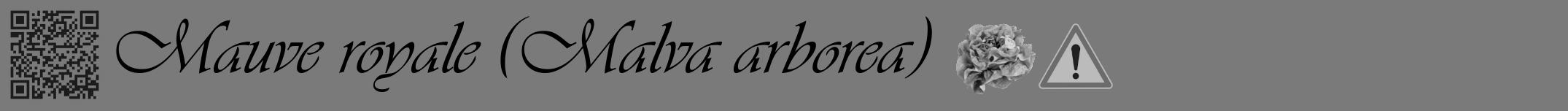 Étiquette de : Malva arborea - format a - style noire3basiqueviv avec qrcode et comestibilité simplifiée