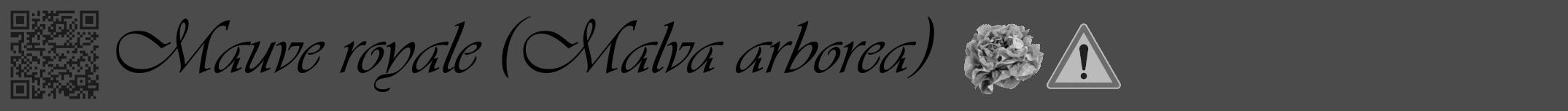 Étiquette de : Malva arborea - format a - style noire9viv avec qrcode et comestibilité simplifiée