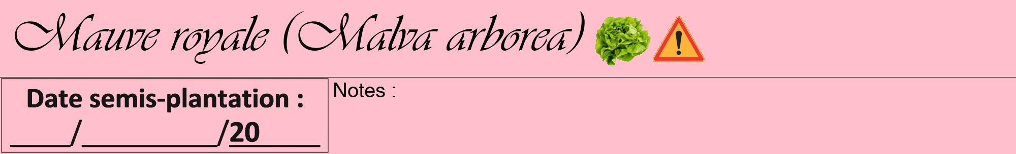 Étiquette de : Malva arborea - format a - style noire40viv avec comestibilité simplifiée