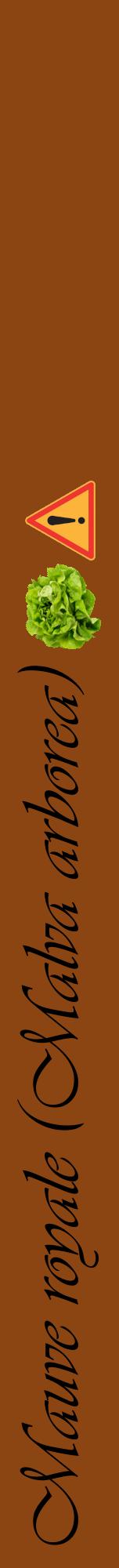 Étiquette de : Malva arborea - format a - style noire30viv avec comestibilité simplifiée