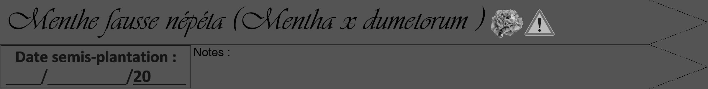 Étiquette de : Mentha x dumetorum  - format a - style noire36simpleviv avec comestibilité simplifiée
