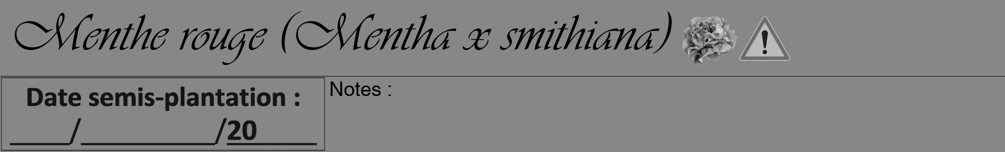 Étiquette de : Mentha x smithiana - format a - style noire12viv avec comestibilité simplifiée