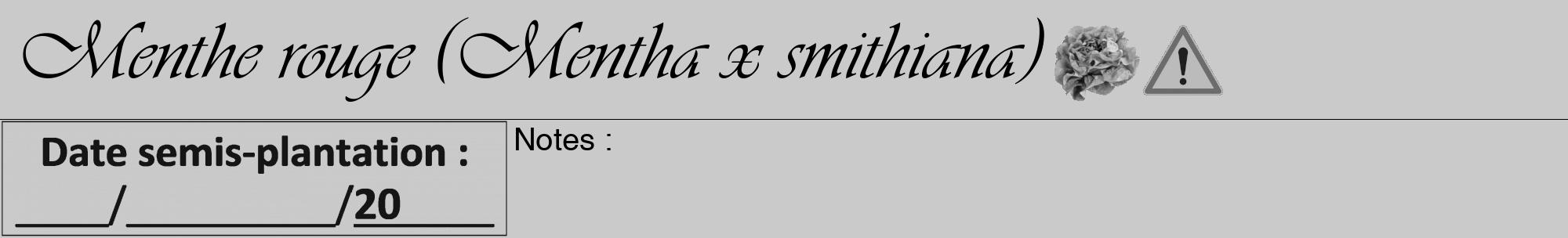 Étiquette de : Mentha x smithiana - format a - style noire21viv avec comestibilité simplifiée