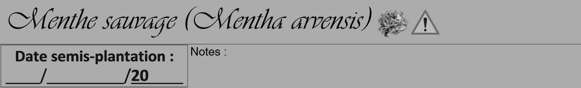 Étiquette de : Mentha arvensis - format a - style noire37viv avec comestibilité simplifiée