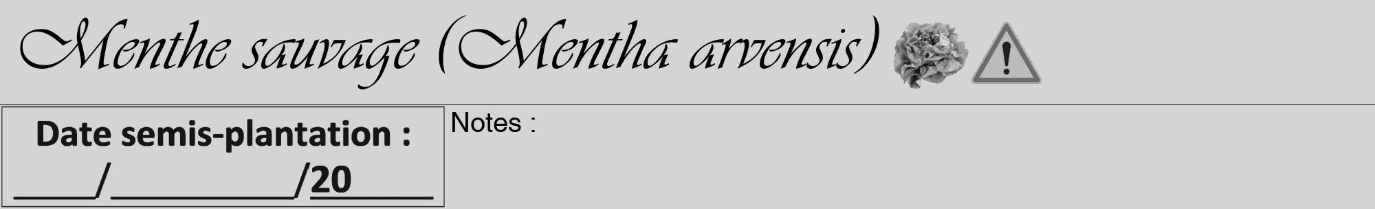 Étiquette de : Mentha arvensis - format a - style noire40viv avec comestibilité simplifiée