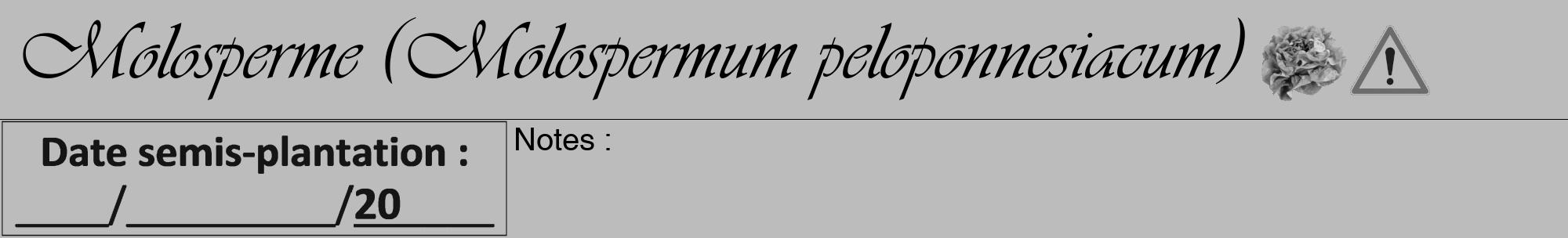 Étiquette de : Molospermum peloponnesiacum - format a - style noire1viv avec comestibilité simplifiée