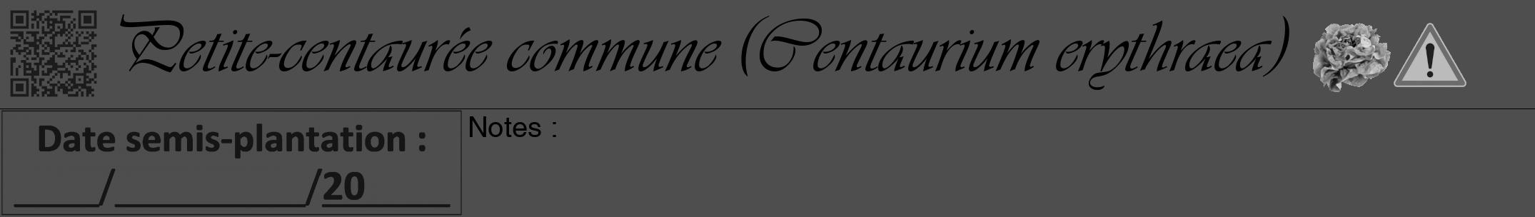 Étiquette de : Centaurium erythraea - format a - style noire33viv avec qrcode et comestibilité simplifiée