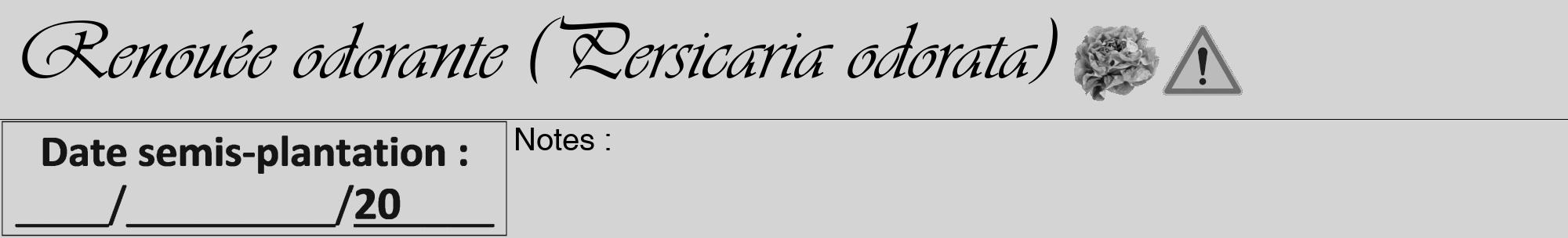 Étiquette de : Persicaria odorata - format a - style noire40viv avec comestibilité simplifiée