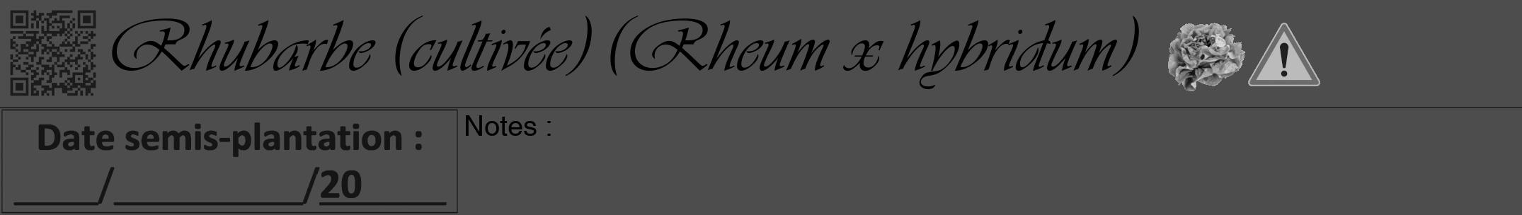 Étiquette de : Rheum x hybridum - format a - style noire28viv avec qrcode et comestibilité simplifiée