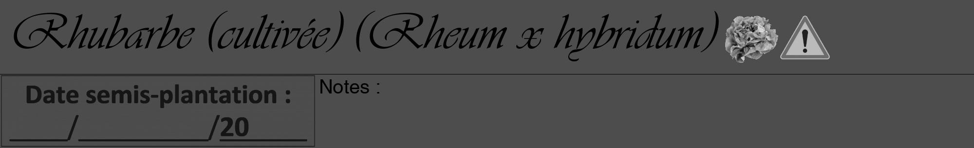 Étiquette de : Rheum x hybridum - format a - style noire28viv avec comestibilité simplifiée