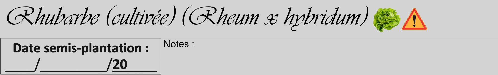 Étiquette de : Rheum x hybridum - format a - style noire56viv avec comestibilité simplifiée