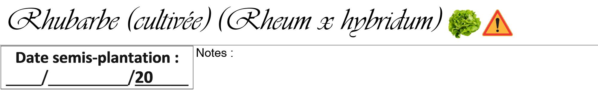 Étiquette de : Rheum x hybridum - format a - style noire60viv avec comestibilité simplifiée