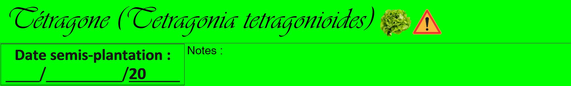 Étiquette de : Tetragonia tetragonioides - format a - style noire16viv avec comestibilité simplifiée