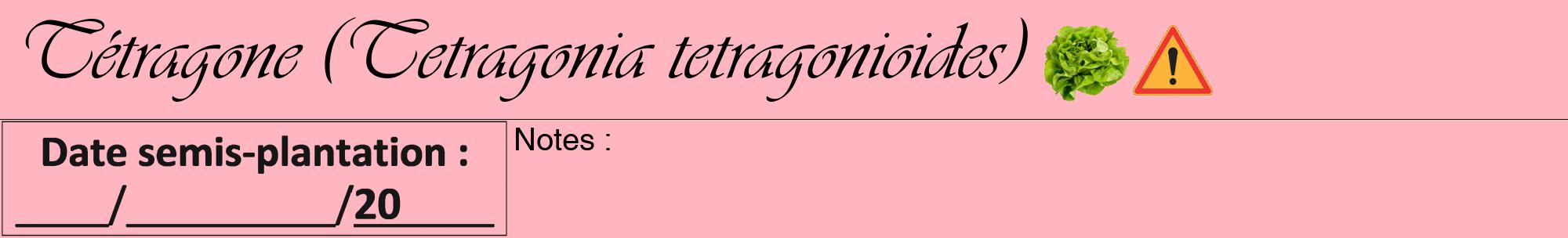 Étiquette de : Tetragonia tetragonioides - format a - style noire41viv avec comestibilité simplifiée