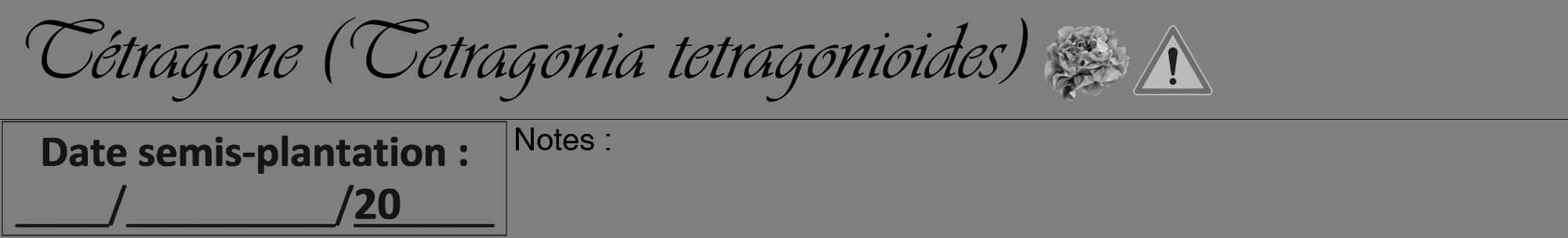 Étiquette de : Tetragonia tetragonioides - format a - style noire57viv avec comestibilité simplifiée