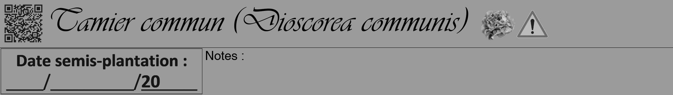 Étiquette de : Dioscorea communis - format a - style noire52viv avec qrcode et comestibilité simplifiée