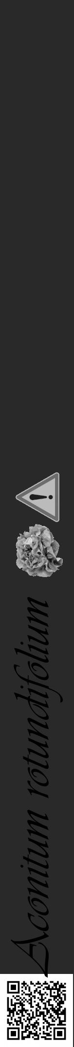 Étiquette de : Aconitum rotundifolium - format a - style noire34viv avec qrcode et comestibilité simplifiée - position verticale