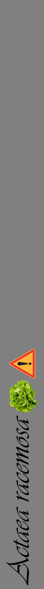 Étiquette de : Actaea racemosa - format a - style noire57viv avec comestibilité simplifiée