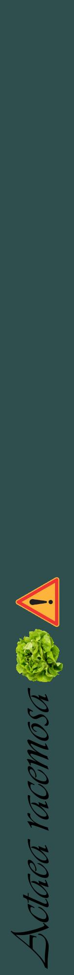Étiquette de : Actaea racemosa - format a - style noire58viv avec comestibilité simplifiée