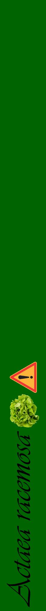 Étiquette de : Actaea racemosa - format a - style noire8viv avec comestibilité simplifiée