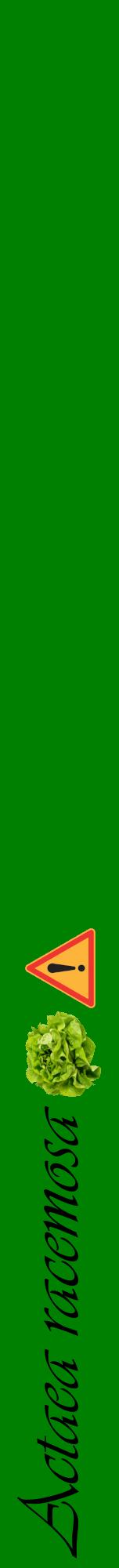 Étiquette de : Actaea racemosa - format a - style noire9viv avec comestibilité simplifiée