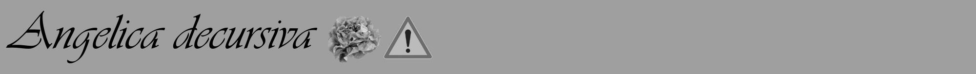 Étiquette de : Angelica decursiva - format a - style noire24viv avec comestibilité simplifiée