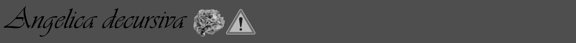 Étiquette de : Angelica decursiva - format a - style noire33viv avec comestibilité simplifiée