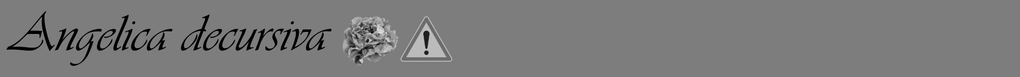 Étiquette de : Angelica decursiva - format a - style noire35basiqueviv avec comestibilité simplifiée