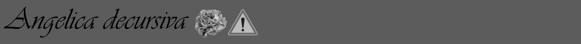 Étiquette de : Angelica decursiva - format a - style noire49basiqueviv avec comestibilité simplifiée