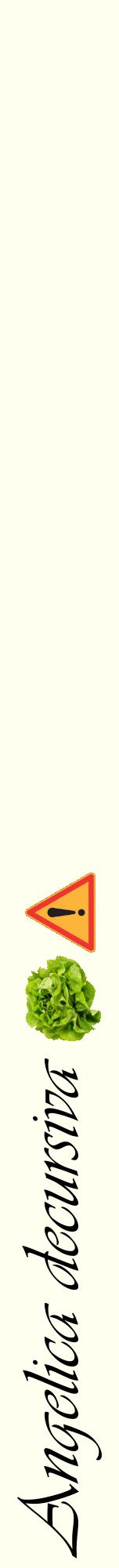 Étiquette de : Angelica decursiva - format a - style noire19viv avec comestibilité simplifiée