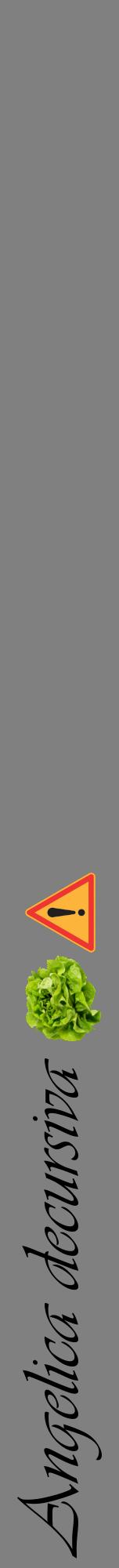 Étiquette de : Angelica decursiva - format a - style noire57viv avec comestibilité simplifiée