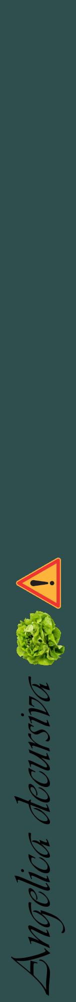 Étiquette de : Angelica decursiva - format a - style noire58viv avec comestibilité simplifiée