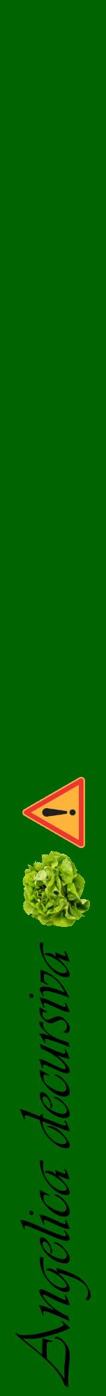Étiquette de : Angelica decursiva - format a - style noire8viv avec comestibilité simplifiée