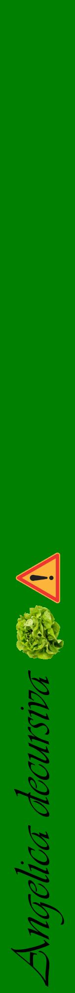 Étiquette de : Angelica decursiva - format a - style noire9viv avec comestibilité simplifiée