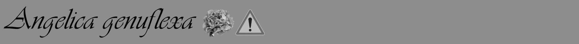 Étiquette de : Angelica genuflexa - format a - style noire2viv avec comestibilité simplifiée