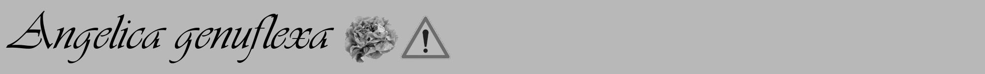 Étiquette de : Angelica genuflexa - format a - style noire39viv avec comestibilité simplifiée