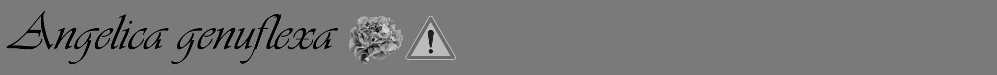 Étiquette de : Angelica genuflexa - format a - style noire3viv avec comestibilité simplifiée