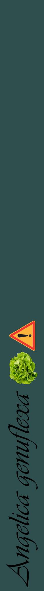 Étiquette de : Angelica genuflexa - format a - style noire58viv avec comestibilité simplifiée