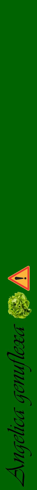 Étiquette de : Angelica genuflexa - format a - style noire8viv avec comestibilité simplifiée