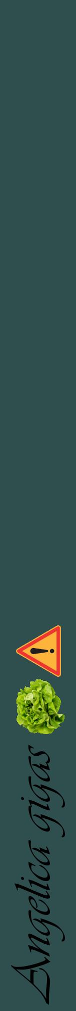 Étiquette de : Angelica gigas - format a - style noire58viv avec comestibilité simplifiée