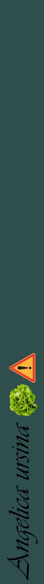 Étiquette de : Angelica ursina - format a - style noire58viv avec comestibilité simplifiée