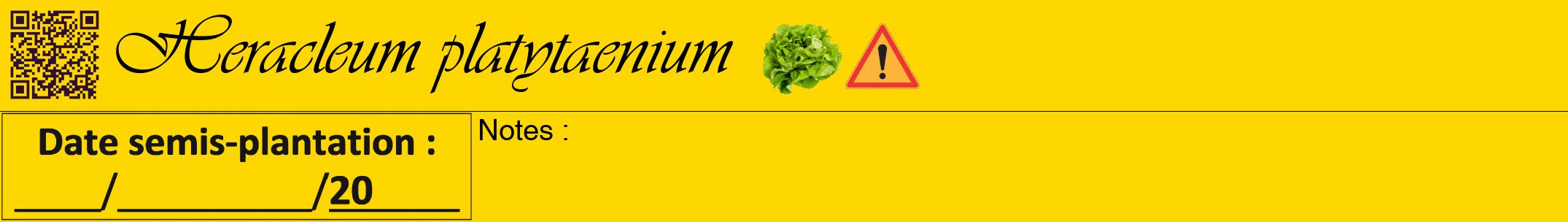 Étiquette de : Heracleum platytaenium - format a - style noire21viv avec qrcode et comestibilité simplifiée