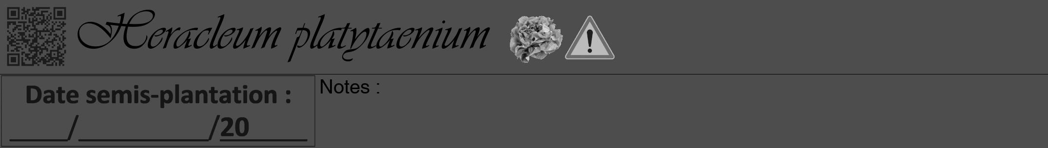Étiquette de : Heracleum platytaenium - format a - style noire28viv avec qrcode et comestibilité simplifiée