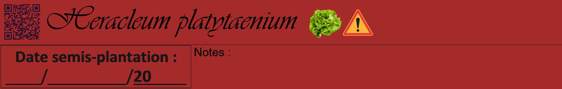 Étiquette de : Heracleum platytaenium - format a - style noire33basiqueviv avec qrcode et comestibilité simplifiée