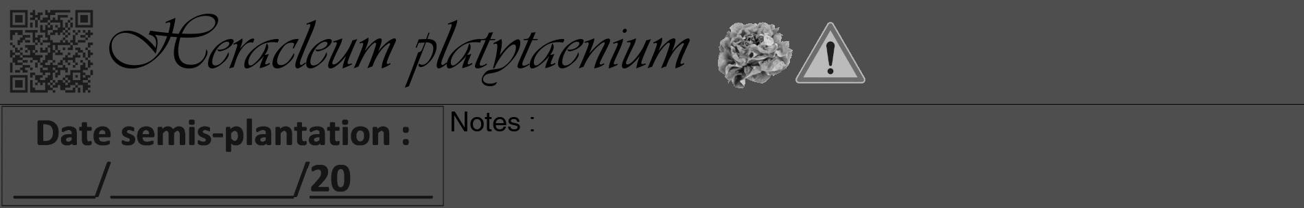 Étiquette de : Heracleum platytaenium - format a - style noire33basiqueviv avec qrcode et comestibilité simplifiée