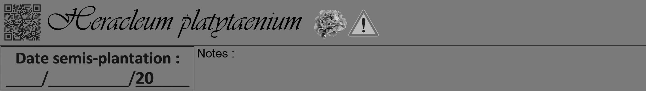 Étiquette de : Heracleum platytaenium - format a - style noire3viv avec qrcode et comestibilité simplifiée