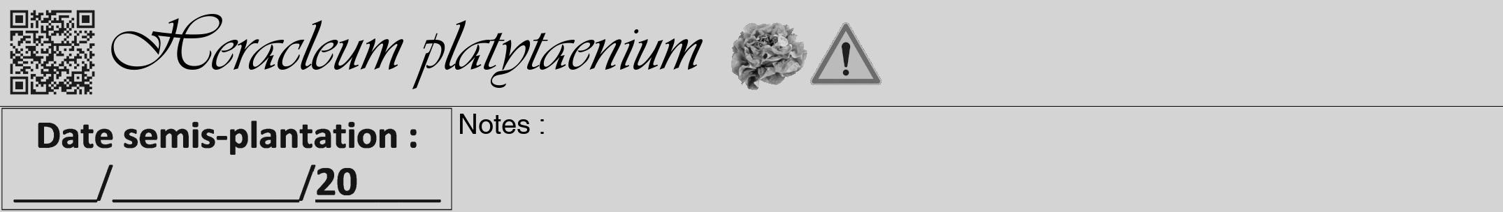 Étiquette de : Heracleum platytaenium - format a - style noire40viv avec qrcode et comestibilité simplifiée