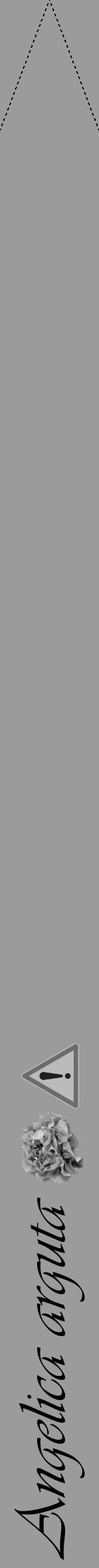 Étiquette de : Angelica arguta - format b - style noire52viv avec comestibilité simplifiée - position verticale