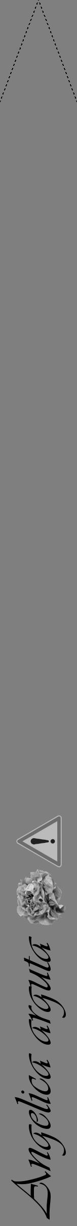 Étiquette de : Angelica arguta - format b - style noire57viv avec comestibilité simplifiée - position verticale