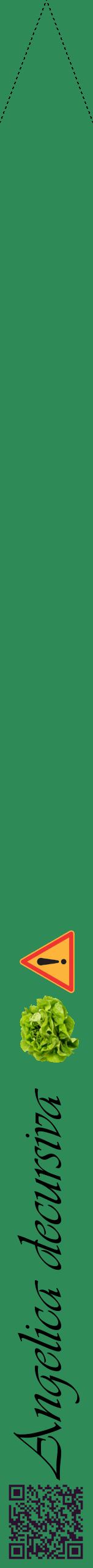 Étiquette de : Angelica decursiva - format b - style noire11viv avec qrcode et comestibilité simplifiée